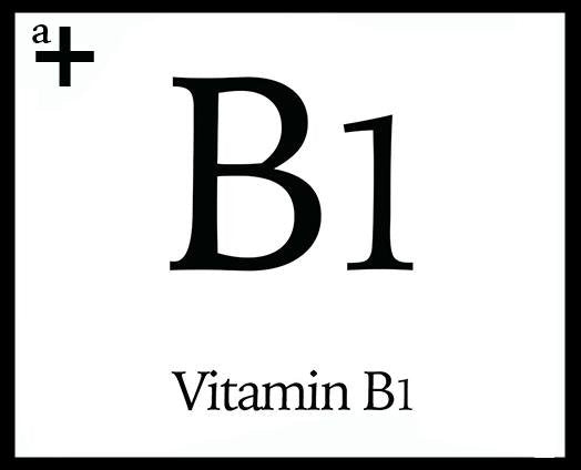 Vitamin B1 - anatomē