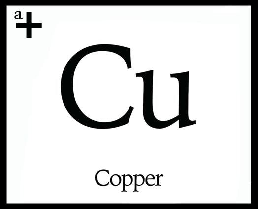 Copper - anatomē