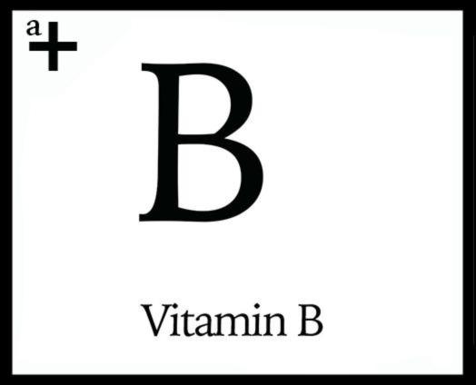 How daily vitamin B complex intake supports your wellbeing - anatomē