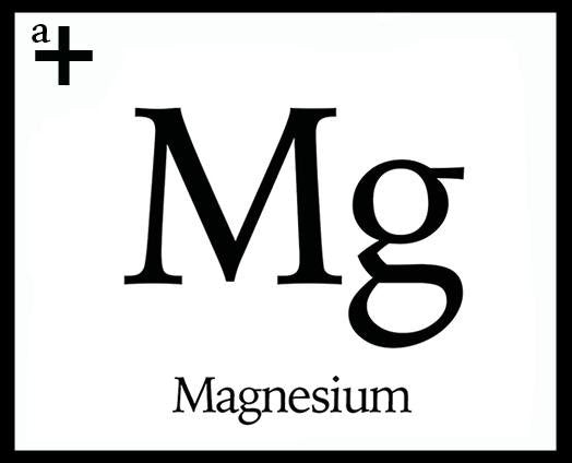 Magnesium - anatomē