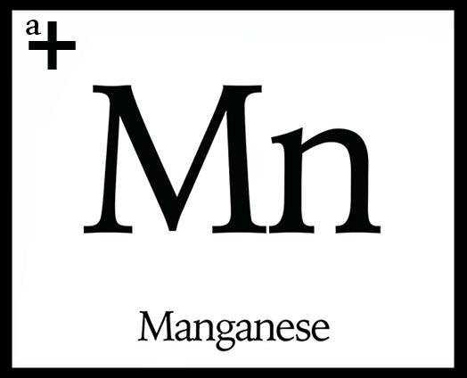 Manganese - anatomē