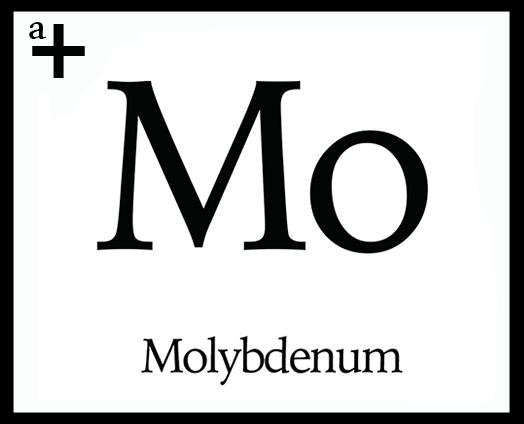 Molybdenum - anatomē