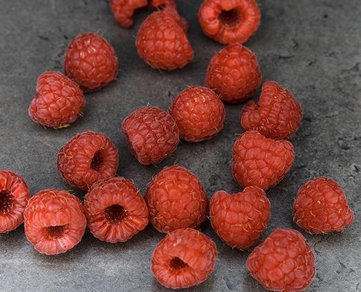 Raspberries - anatomē