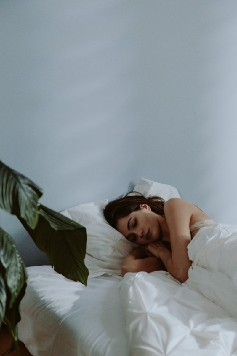 Vegan-Friendly Sleep Aids for a Better Night Sleep - anatomē