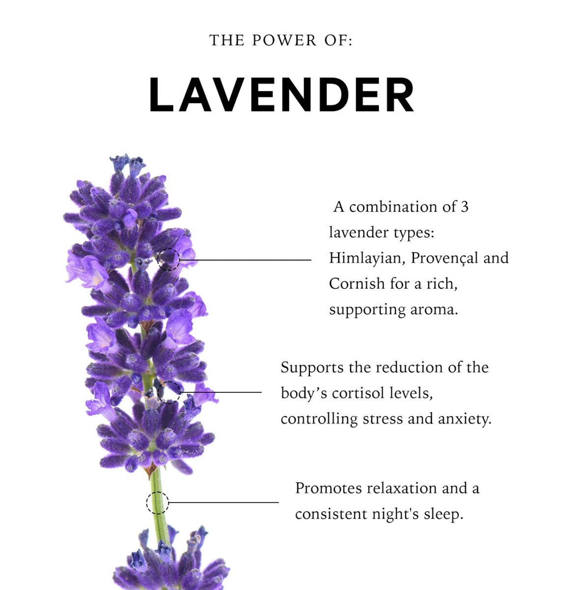 Cornish Lavender Pillow Spray Christmas Calender Gift - anatomē