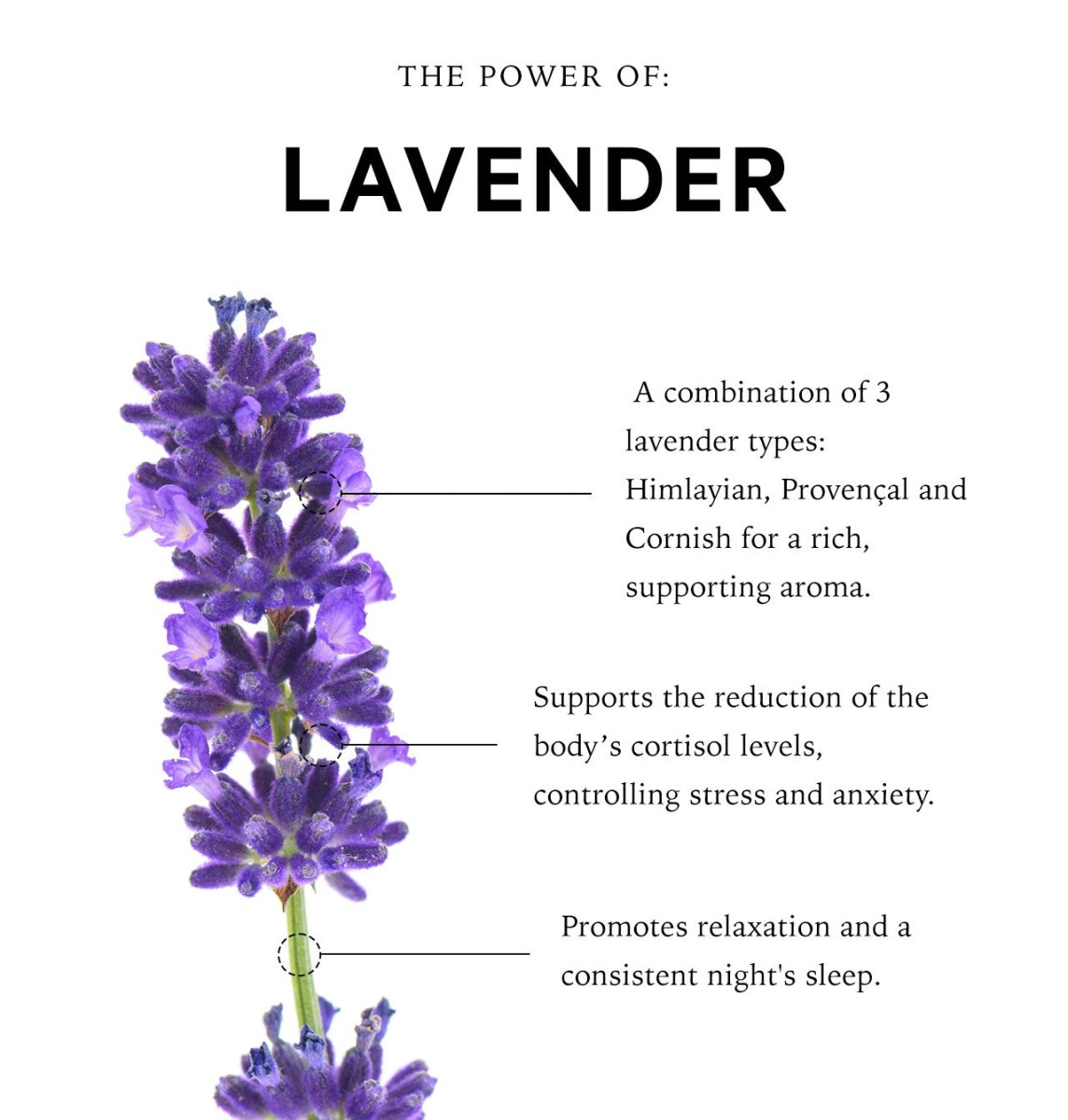 Cornish Lavender Pillow Spray - anatomē