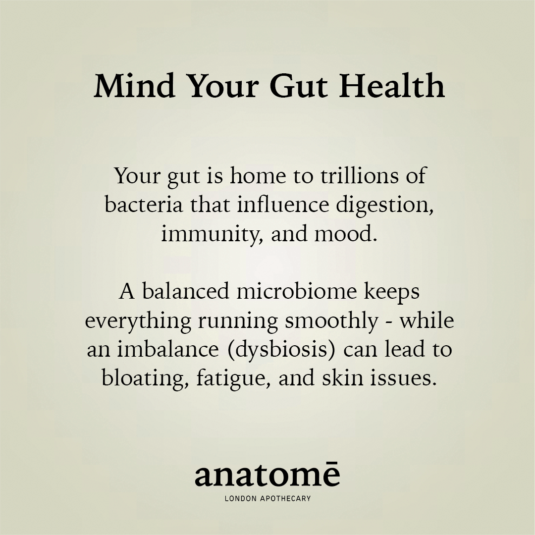 Essential Daily Probiotic + Gut Support - anatomē