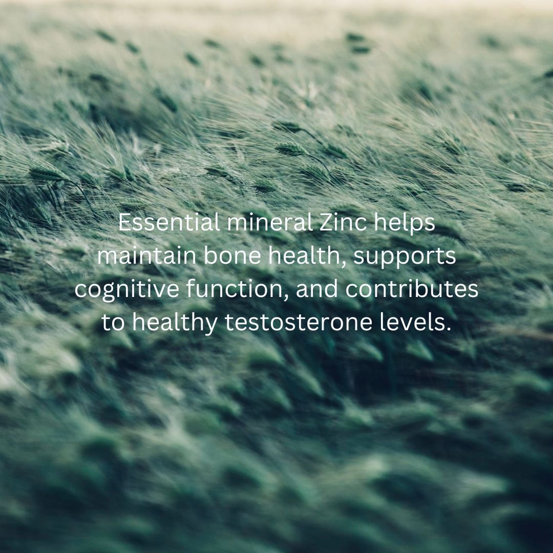 Men's Daily Essentials + Immune Support - anatomē