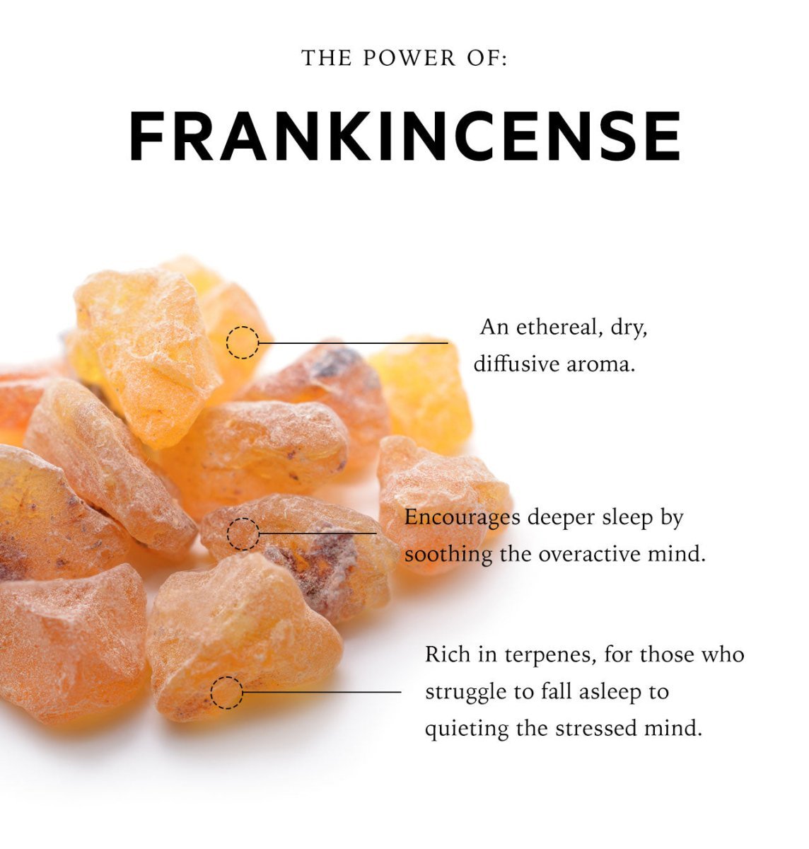 Overactive Mind Sensory Point Sleep Oil | Somali Frankincense 30ml - anatomē