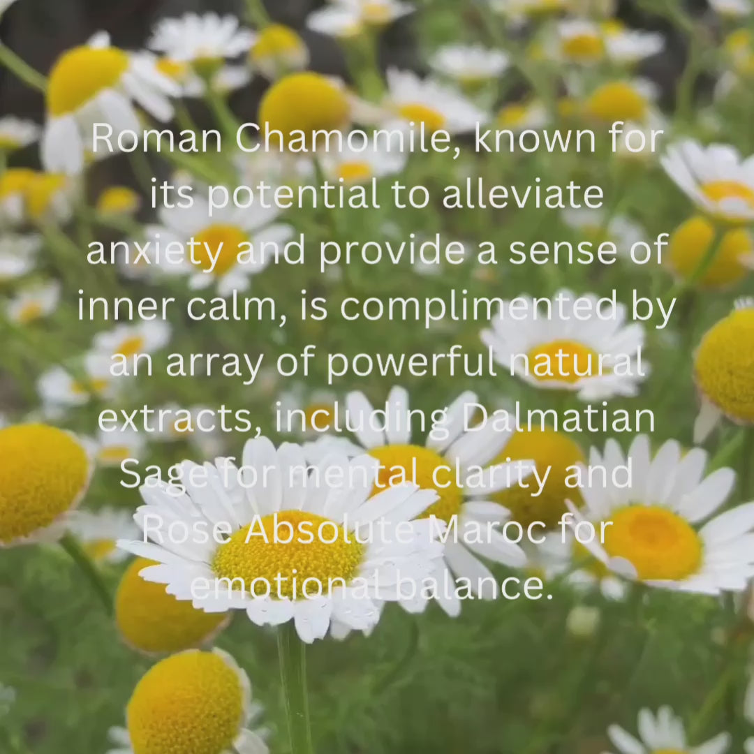 Roman Chamomile Essential Oil for Sleep: Sensory Point Oil